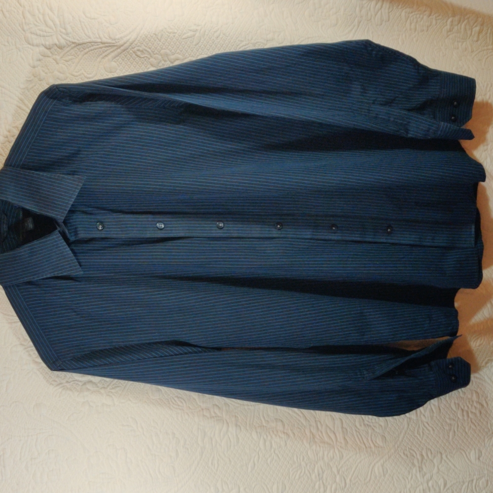 Express Design Studio Pinstripe Dress Shirt